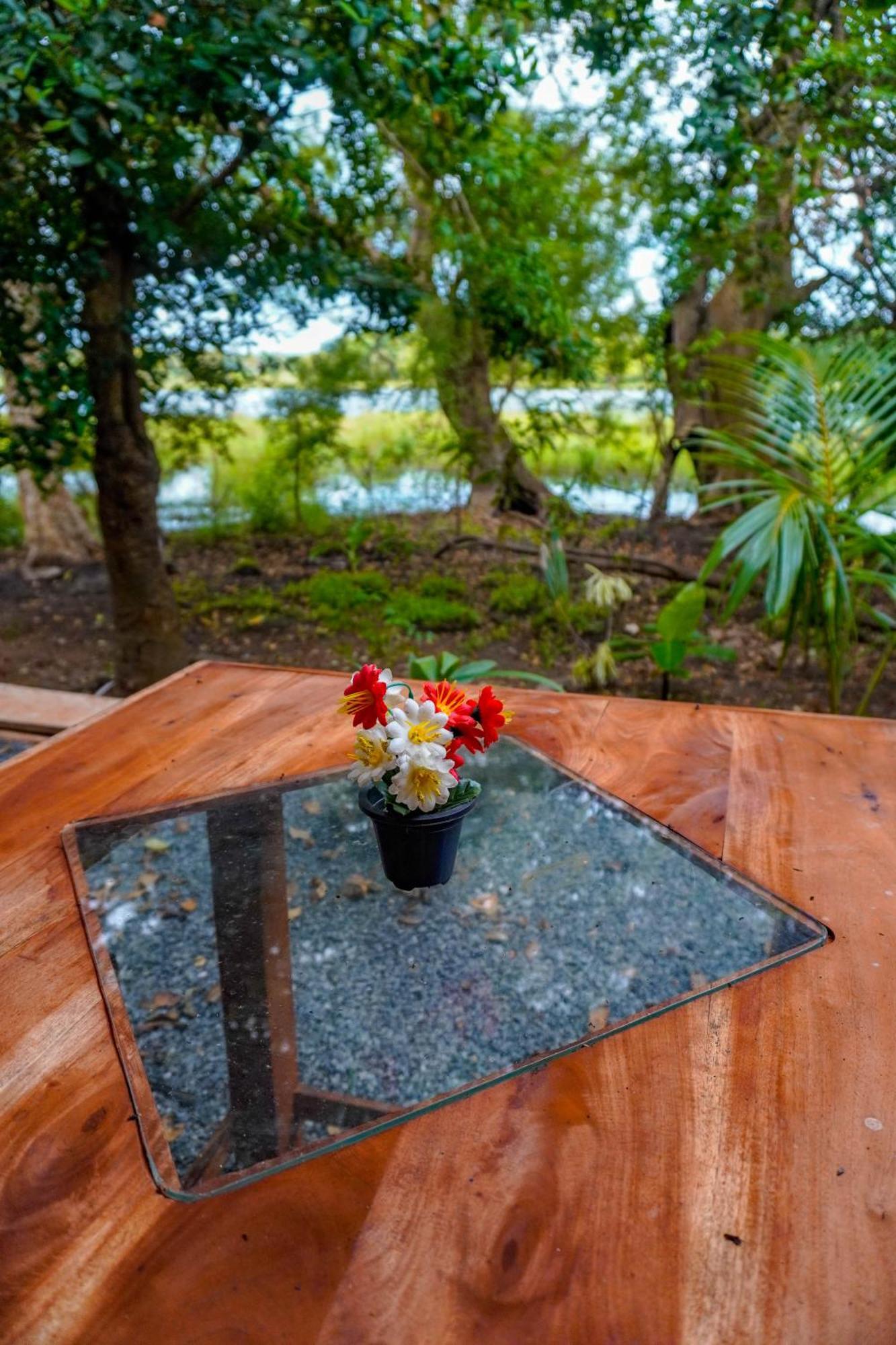 Nature Lotus Villa Dambulla Exteriér fotografie